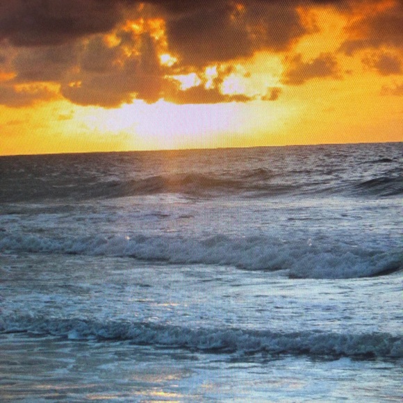 Meet your Posher, Chadd - Picture 1 of 1